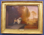 O/B Dog Portrait by Edmund Bristow